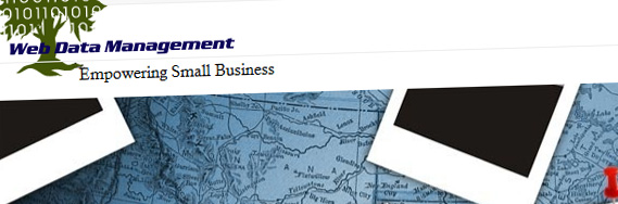 Web Data Management